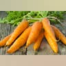 Carrots