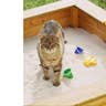While Mowing the Lawn, You Put Your Kids in a Sandbox Filled with Cat Feces