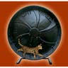 The Cat Wheel