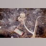 Aerial View of Colorado Wildfires