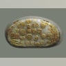 freshwater_diatom_cells