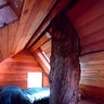 The Cedar Creek Treehouse