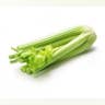 Celery