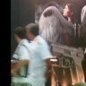 Rio_de_Janeiro___angel_wings