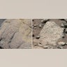 curiosity_02