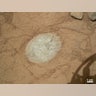 curiosity_11