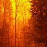 Fires continue to rage in Tennessee