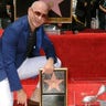 Pitbull_walk_of_fame