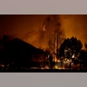 Trees burn behind houses in a residential area in Santa Rosa