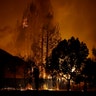 Trees burn behind houses in a residential area in Santa Rosa