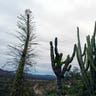 Mexico_Baja_Tourism__10_