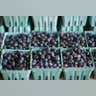 Blueberries