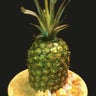 Pineapple/luau cake