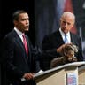 Politicians and Pooches