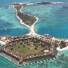 drytortuga