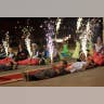 Marking the revolution
