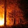 Wildfire Blazes Close to Kovrigino