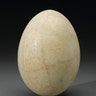 <b>Elephant Bird Egg</b>
