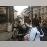 Horsing around in Austria