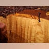 Glen Canyon National Recreation Area