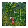 This leafy paradise is worthy of its own museum display. Severeal types of peppers, leaves and herbs like rosemary form a lush forest-like background for the artist's tiny female figure. She herself is made from delicately cut red bell pepper.