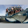 Sharks swarm an expedition boat