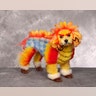  A dog from Las Vegas, Nevada.