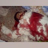 Bin_Laden_Compound_Reuters_Graphic_3