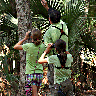 famtree
