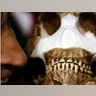 Introducing Homo naledi