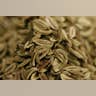 Fennel Seeds
