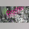 Still From Security Video
