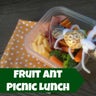 'Fruit Ant' Lunch for a Picnic