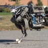 Wild galloping robot