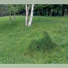 EcoGadgets: grass armchair