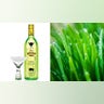 Grass