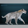 Scimitar Cat