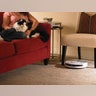 iRobot Roomba Pet 532 in Living Room