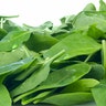 istock_spinach