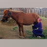 Kazakhstan: First Domesticated Horses