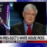 Newt Gingrich discusses the report that President-elect Trump is seeking top secret security clearances for his children on ‘The Kelly File’