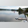 lakeplacidoyster