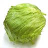 Head of Lettuce: