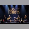 los_lobos_now