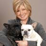 Martha Stewart with her French Bulldogs Francesca and Sharkey