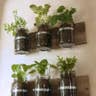 5. Mason Jar Planter