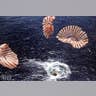 A Splashy Ending
