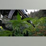 mexico_drougth