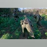 mexico_drougth6