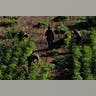 mexico_drougth7